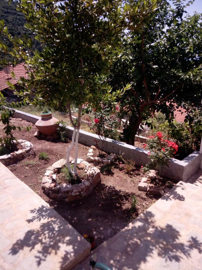 Dimitra'S Garden Villa Kallirákhi 外观 照片