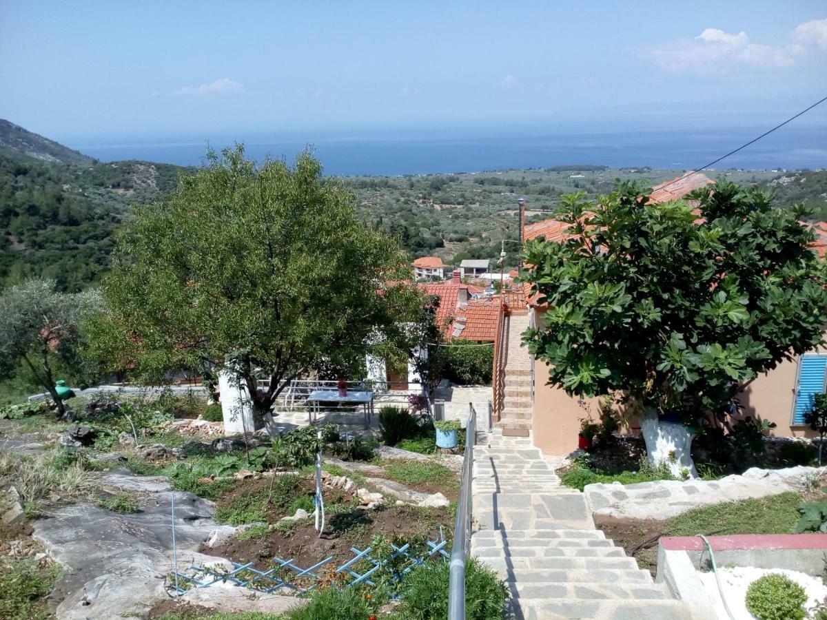 Dimitra'S Garden Villa Kallirákhi 外观 照片