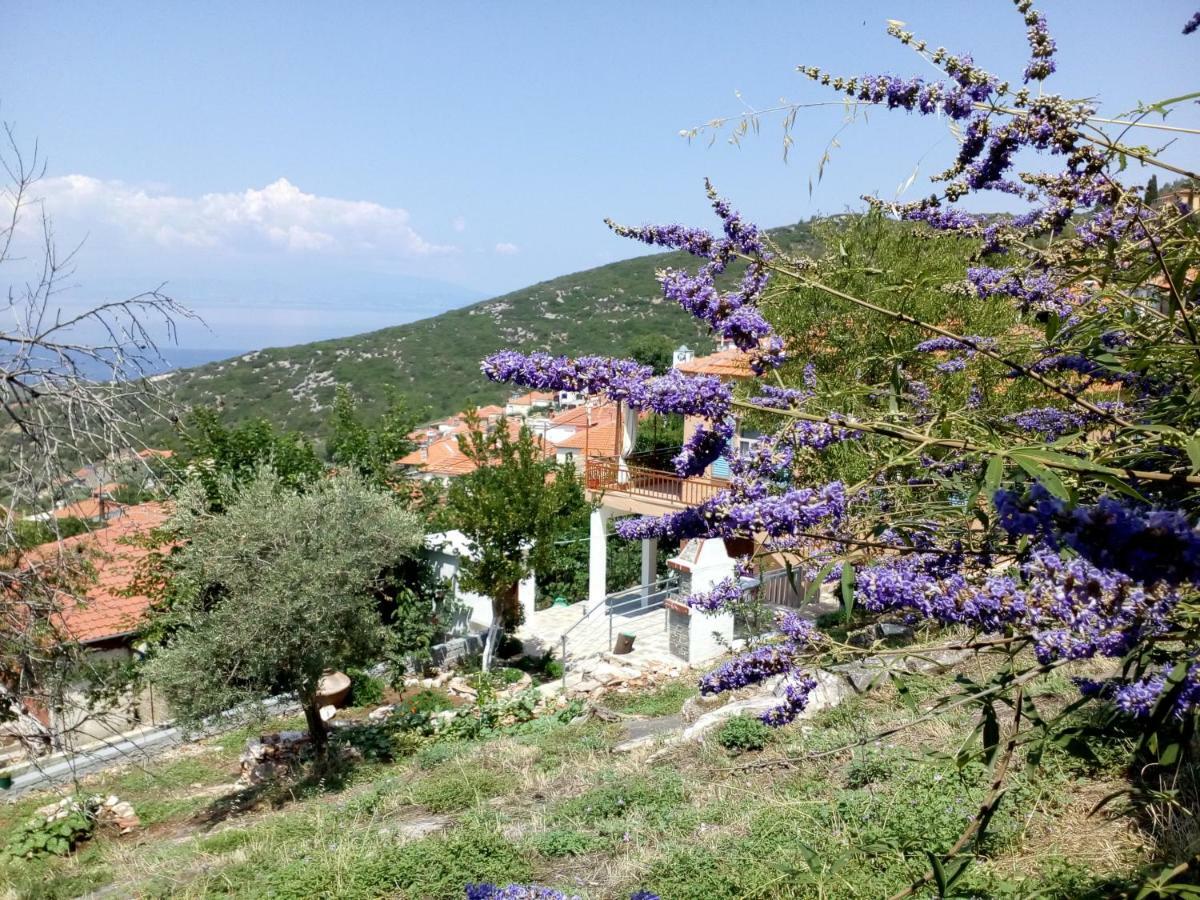 Dimitra'S Garden Villa Kallirákhi 外观 照片