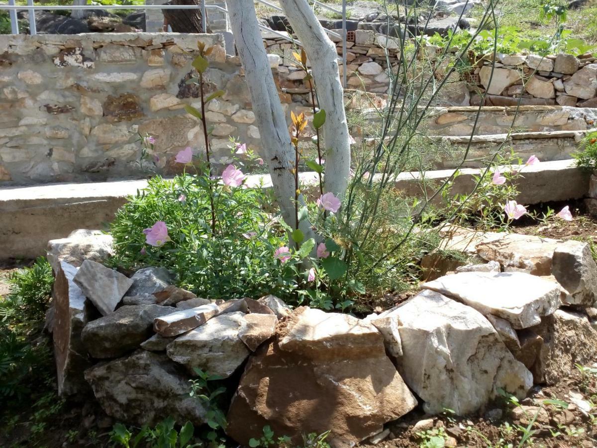Dimitra'S Garden Villa Kallirákhi 外观 照片